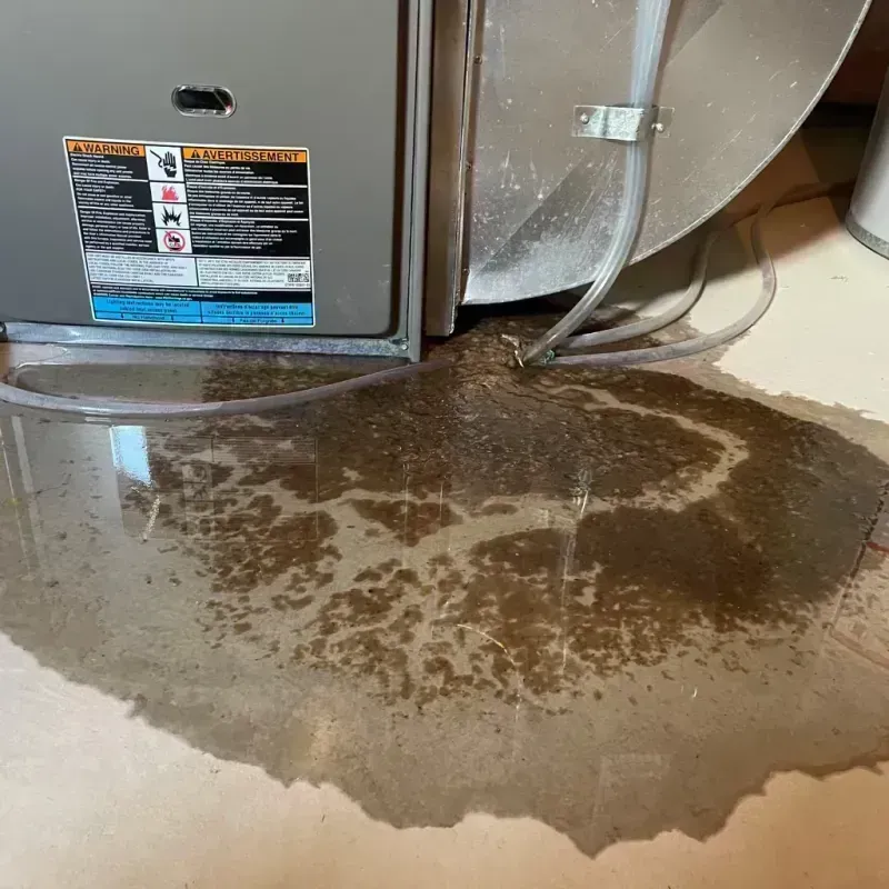 Appliance Leak Cleanup in Westmont, IL